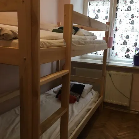 Cat * Krakow