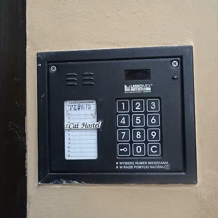 Cat Krakow