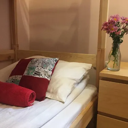 Cat Hostel