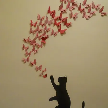 Cat 旅馆