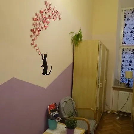 Cat * Krakow