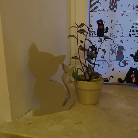 Cat Hostel