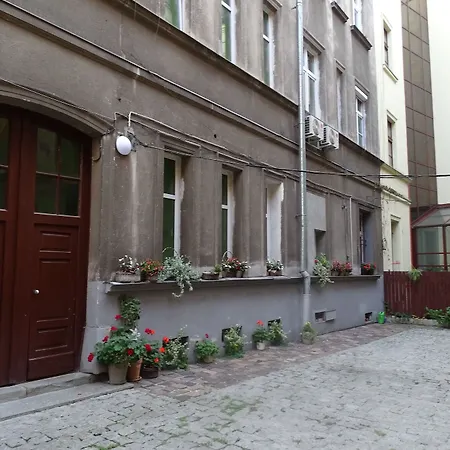 Cat * Krakow